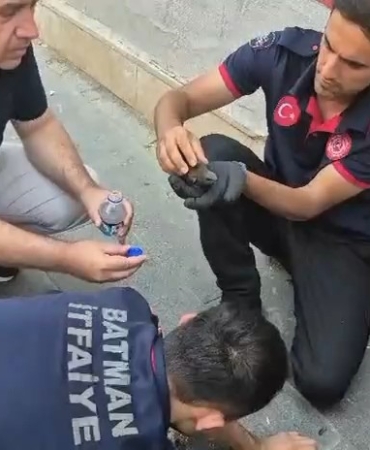 batmanda-ebabil-kuslarinin-korunmasi-icin-ozel-seferberlik-wlPKV7O8.jpg