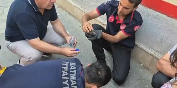 Batman'da Ebabil Kuşlarının Korunması İçin Özel Seferberlik Batman’da Ebabil Kuşlarının Korunması İçin Özel Seferberlik