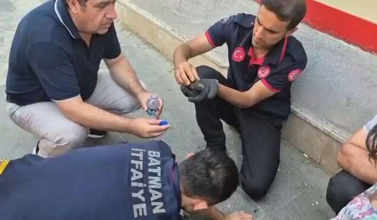 batmanda-ebabil-kuslarinin-korunmasi-icin-ozel-seferberlik-wlPKV7O8.jpg