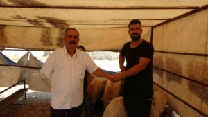 batmanda-kurbanlik-satislarinda-rekor-yogunluk-devam-ediyor-mqTctzeI.jpg