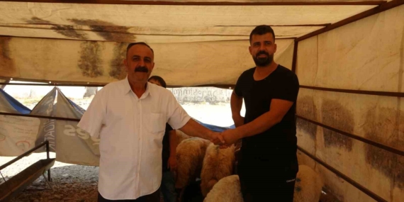 Batman'da Kurbanlık Satışlarında Rekor Yoğunluk Devam Ediyor Batman’da Kurbanlık Satışlarında Rekor Yoğunluk Devam Ediyor