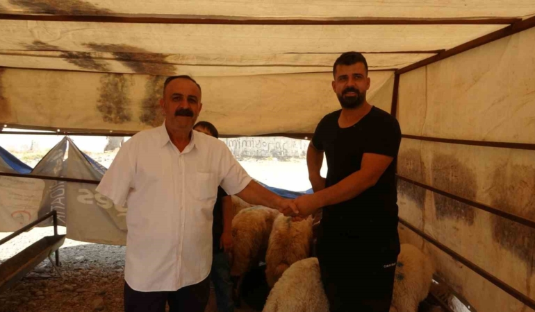 batmanda-kurbanlik-satislarinda-rekor-yogunluk-devam-ediyor-mqTctzeI.jpg