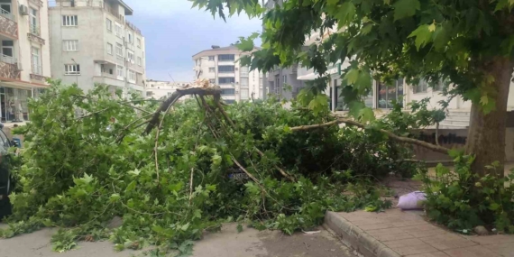 Batman'da Şiddetli Rüzgar Aracı Deviren Ağaçla Korkuttu Batman’da Şiddetli Rüzgar Aracı Deviren Ağaçla Korkuttu
