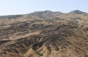 bingol-orman-yangini-basariyla-kontrol-altina-alindi-un1Rr8dC.jpg