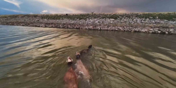 Devegeçidi Barajı'nda Eşsiz Renk Cümbüşü Devegeçidi Barajı’nda Eşsiz Renk Cümbüşü