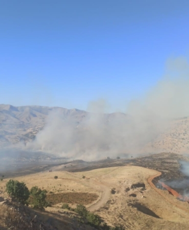 diyarbakir-yaylasinda-essiz-bir-yangin-olayi-b2R8Yx9D.jpg