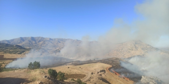 Diyarbakır Yaylasında Eşsiz Bir Yangın Olayı Diyarbakır Yaylasında Eşsiz Bir Yangın Olayı