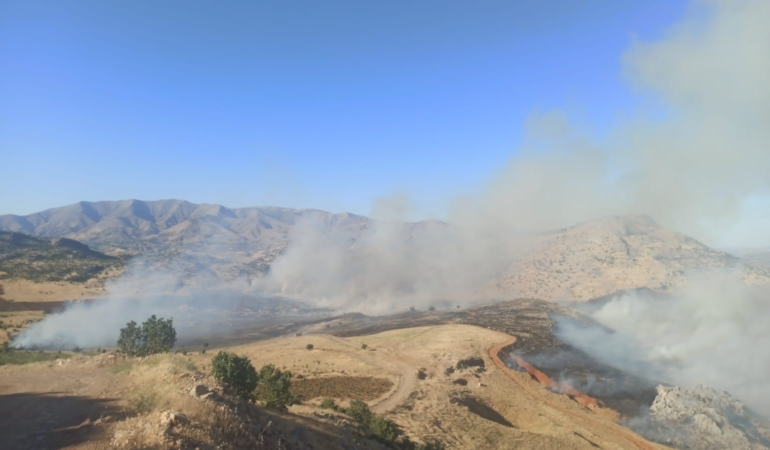 diyarbakir-yaylasinda-essiz-bir-yangin-olayi-b2R8Yx9D.jpg