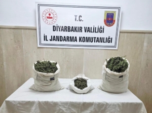 diyarbakirda-22-bin-kok-kenevir-ve-12-kilo-esrar-yakalandi-KF3GyCie.jpg