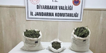 diyarbakirda-22-bin-kok-kenevir-ve-12-kilo-esrar-yakalandi-KF3GyCie.jpg