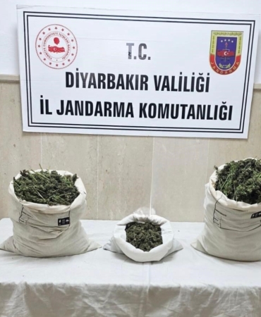 diyarbakirda-22-bin-kok-kenevir-ve-12-kilo-esrar-yakalandi-KF3GyCie.jpg