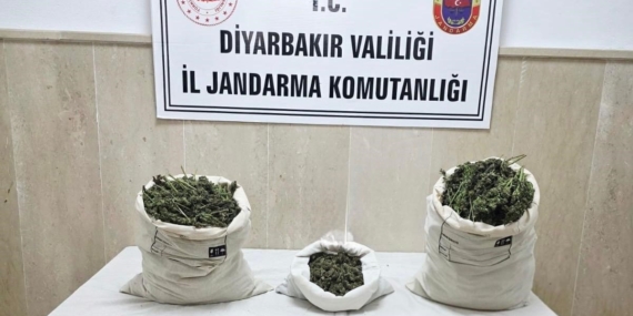 Diyarbakır'da 22 Bin Kök Kenevir ve 12 Kilo Esrar Yakalandı Diyarbakır’da 22 Bin Kök Kenevir ve 12 Kilo Esrar Yakalandı