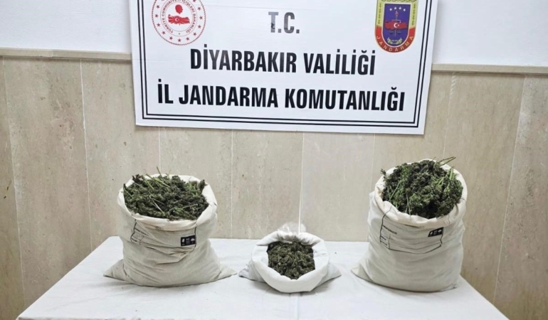 diyarbakirda-22-bin-kok-kenevir-ve-12-kilo-esrar-yakalandi-KF3GyCie.jpg