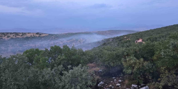 Diyarbakır'da Korkutan Örtü Yangını: Doğa ve İnsanlar İçin Tehlike! Diyarbakır’da Korkutan Örtü Yangını: Doğa ve İnsanlar İçin Tehlike!