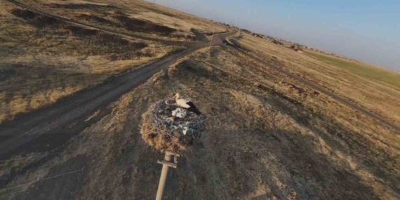 Diyarbakır'da Leylekler Yeniden Yuvalarına Dönüyor Diyarbakır’da Leylekler Yeniden Yuvalarına Dönüyor