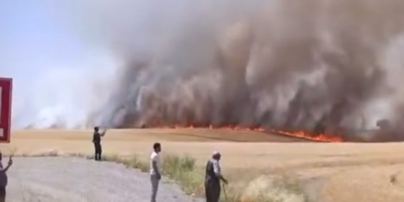 Diyarbakır’da Yangında Kül Olan Bin Dönüm İhtiyaç Sahibi Buğday ve Arpa Diyarbakır’da Yangında Kül Olan Bin Dönüm İhtiyaç Sahibi Buğday ve Arpa