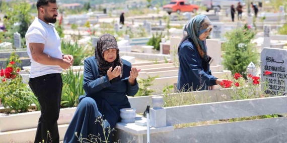 Elazığ Mezarlıklarında Artan Yoğunluk: Sebepler ve Çözümler Elazığ Mezarlıklarında Artan Yoğunluk: Sebepler ve Çözümler