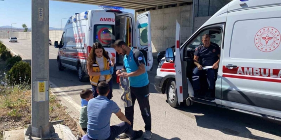 Elazığ'da Karşı Şeride Geçen Otomobilin Yol Açtığı Kaza: 3 Yaralı Elazığ’da Karşı Şeride Geçen Otomobilin Yol Açtığı Kaza: 3 Yaralı
