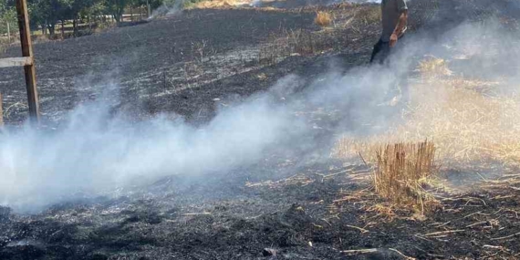 Elazığ'da Korkutan Yangın: Ekili Alan Tamamen Küle Döndü Elazığ’da Korkutan Yangın: Ekili Alan Tamamen Küle Döndü