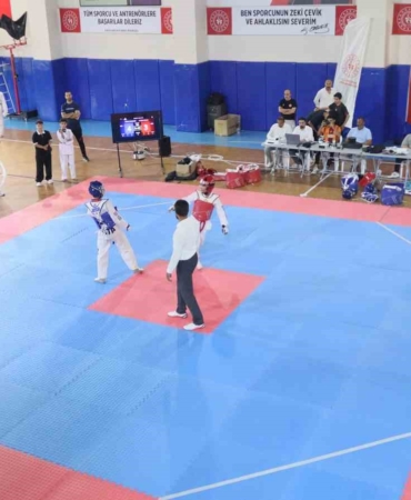 elazigda-taekwondo-tutkusu-heyecan-dolu-anlar-NMARjKj7.jpg