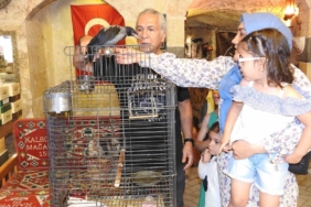 esnafin-karga-ile-kurdugu-essiz-dostluk-gorenleri-sasirtiyor-9yK2pGi2.jpg