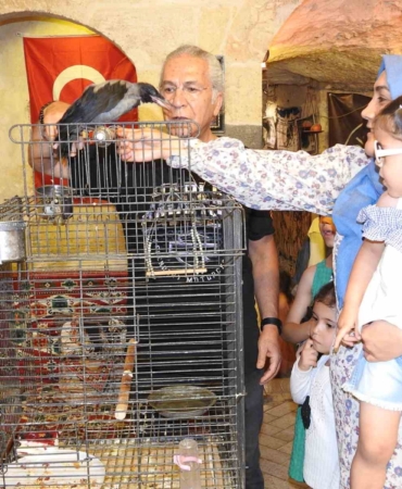 esnafin-karga-ile-kurdugu-essiz-dostluk-gorenleri-sasirtiyor-9yK2pGi2.jpg