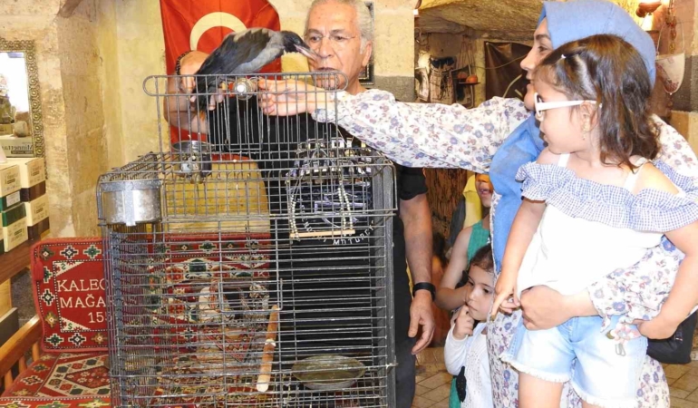 esnafin-karga-ile-kurdugu-essiz-dostluk-gorenleri-sasirtiyor-9yK2pGi2.jpg