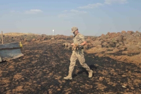 gaziantepte-aniz-yangininda-mahsur-kalan-kopekler-jandarma-tarafindan-kurtarildi-BuAuLOXN.jpg