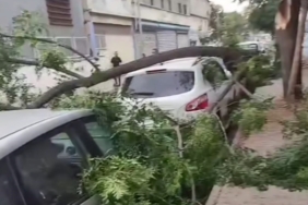 gaziantepte-siddetli-firtina-agaclar-yikildi-araclar-zarar-gordu-ve-toz-bulutu-etrafa-hakim-oldu-fvmfdPil.jpg