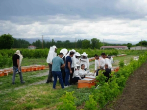 igdirda-ari-kovani-dagitim-toreni-doganin-koruyuculari-icin-onemli-bir-adim-Oz4NraOO.jpg