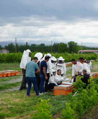 igdirda-ari-kovani-dagitim-toreni-doganin-koruyuculari-icin-onemli-bir-adim-Oz4NraOO.jpg