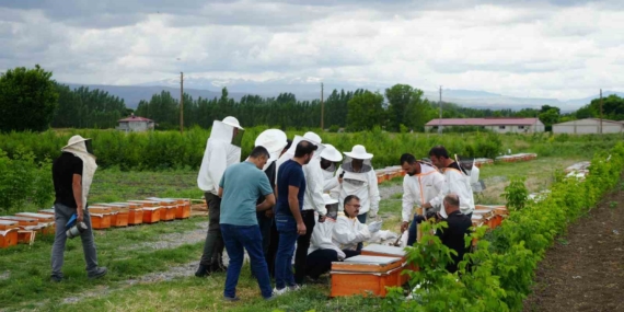 Iğdır'da Arı Kovanı Dağıtım Töreni: Doğanın Koruyucuları İçin Önemli Bir Adım Iğdır’da Arı Kovanı Dağıtım Töreni: Doğanın Koruyucuları İçin Önemli Bir Adım