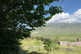 igdirin-corak-arazileri-agaclarla-yeniden-canlaniyor-ZeHNuOvc.jpg
