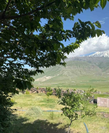 igdirin-corak-arazileri-agaclarla-yeniden-canlaniyor-ZeHNuOvc.jpg