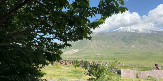 Iğdır'ın Çorak Arazileri Ağaçlarla Yeniden Canlanıyor Iğdır’ın Çorak Arazileri Ağaçlarla Yeniden Canlanıyor