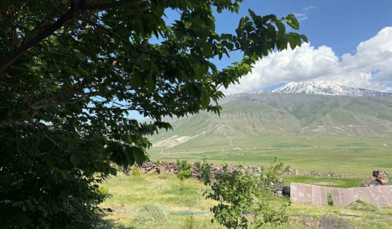igdirin-corak-arazileri-agaclarla-yeniden-canlaniyor-ZeHNuOvc.jpg