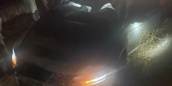Köpeği Koruma Çabasıyla Kaza Yapan Sürücü: 2 Yaralı Köpeği Koruma Çabasıyla Kaza Yapan Sürücü: 2 Yaralı