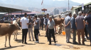 malatya-canli-hayvan-pazarinda-bayram-coskusu-yogunluk-ve-hareketlilik-GvZVmiAf.jpg
