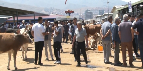 Malatya Canlı Hayvan Pazarı’nda Bayram Coşkusu: Yoğunluk ve Hareketlilik Malatya Canlı Hayvan Pazarı’nda Bayram Coşkusu: Yoğunluk ve Hareketlilik