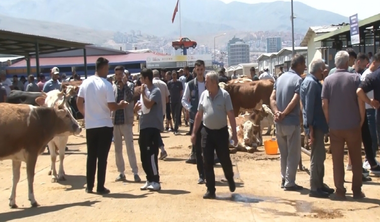 malatya-canli-hayvan-pazarinda-bayram-coskusu-yogunluk-ve-hareketlilik-GvZVmiAf.jpg