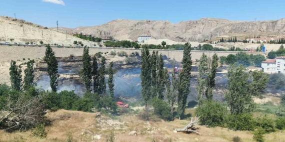Malatya’da Eşsiz Bir Ot Yangını Deneyimi