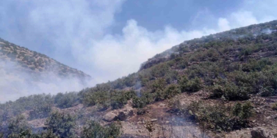 Mardin Orman Yangınına Acil Müdahale: Ekipler Çalışmalara Devam Ediyor Mardin Orman Yangınına Acil Müdahale: Ekipler Çalışmalara Devam Ediyor