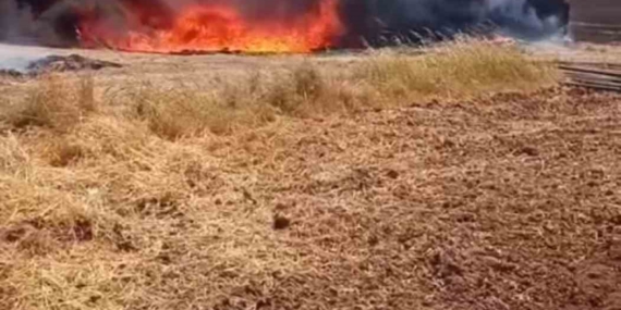 Mardin Yangınında 25 Ton Saman ve 300 Sulama Borusu Kül Oldu Mardin Yangınında 25 Ton Saman ve 300 Sulama Borusu Kül Oldu