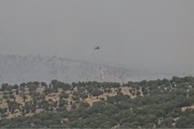 mardindeki-orman-yangini-kontrol-altina-alindi-son-gelismeler-HCw7Zq9A.jpg