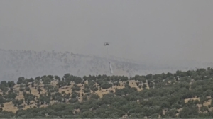 mardindeki-orman-yangini-kontrol-altina-alindi-son-gelismeler-HCw7Zq9A.jpg
