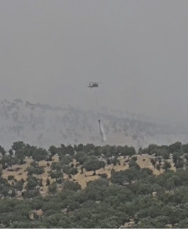 mardindeki-orman-yangini-kontrol-altina-alindi-son-gelismeler-HCw7Zq9A.jpg