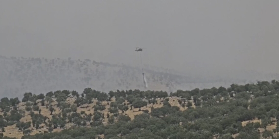 Mardin’deki Orman Yangını Kontrol Altına Alındı: Son Gelişmeler