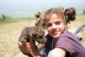mustaki-coban-kardeslerin-yaylada-kurtardigi-kurt-yavrulari-bir-hayat-mucadelesi-p3WRkbqg.jpg