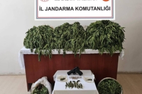 nusaybinde-uyusturucu-operasyonu-4-sahis-gozaltina-alindi-FFZJbsdD.jpg