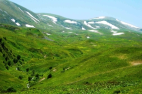 posofta-baharin-coskusu-yayla-mevsimi-kapilari-araladi-Hib6FIJt.jpg